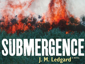 20130716_daily-circuit-jm-ledgard-submergence-book_2